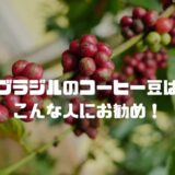 ブラジルコーヒーの特徴と、美味しく飲む方法は？どんな人にお勧め？＃１