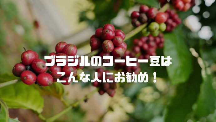 ブラジルコーヒーの特徴と、美味しく飲む方法は？どんな人にお勧め？＃１